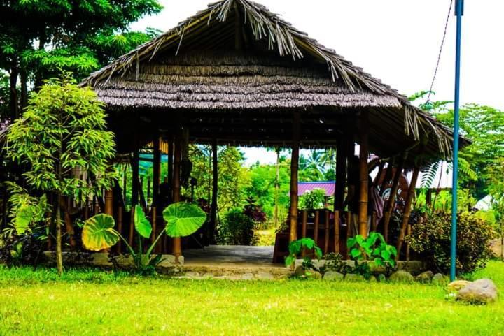 Tiu Batu Homestay Alas Extérieur photo